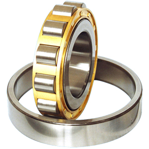 Cylindrical Roller Bearings